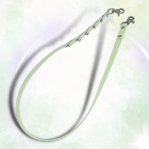 Mint Waterproof Grooming Restraints