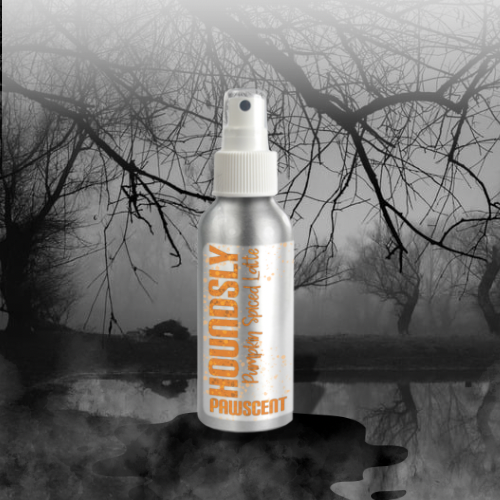 Pumpkin Spiced Latte