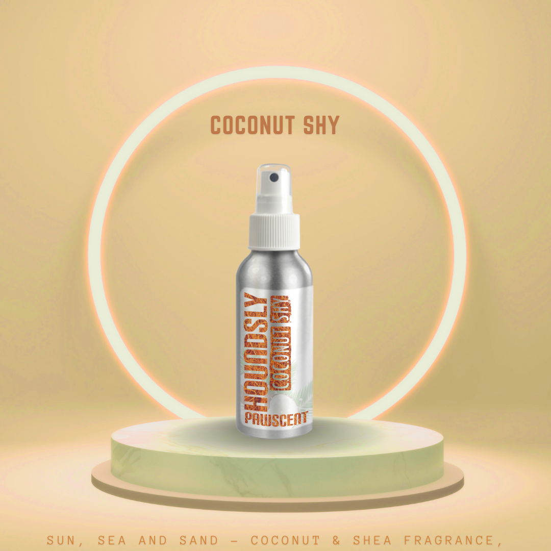 Coconut Shy